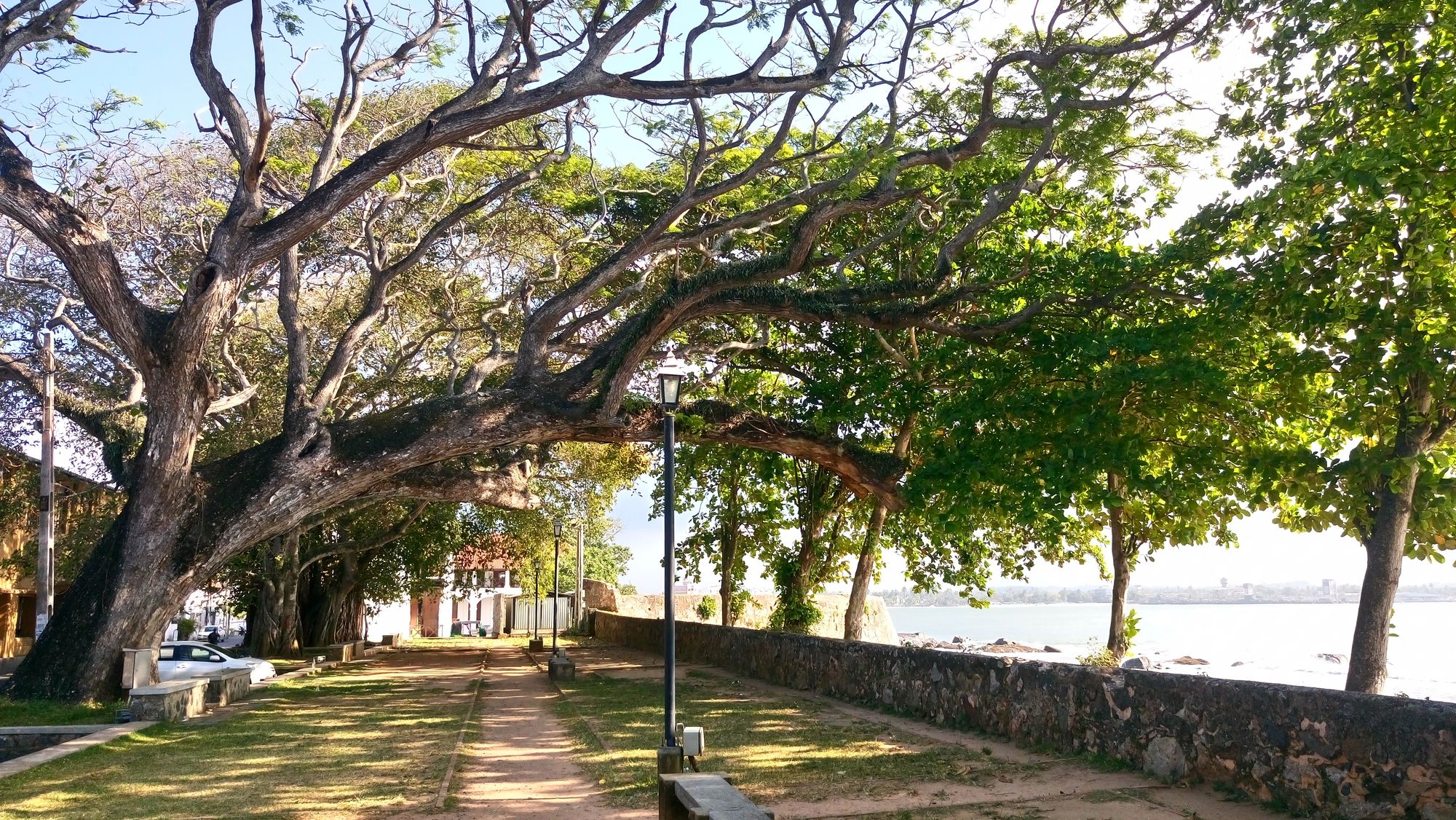 Ramparts of the Galle Dutch Fort, Sri Lanka, with a large tree arching over the pathway.