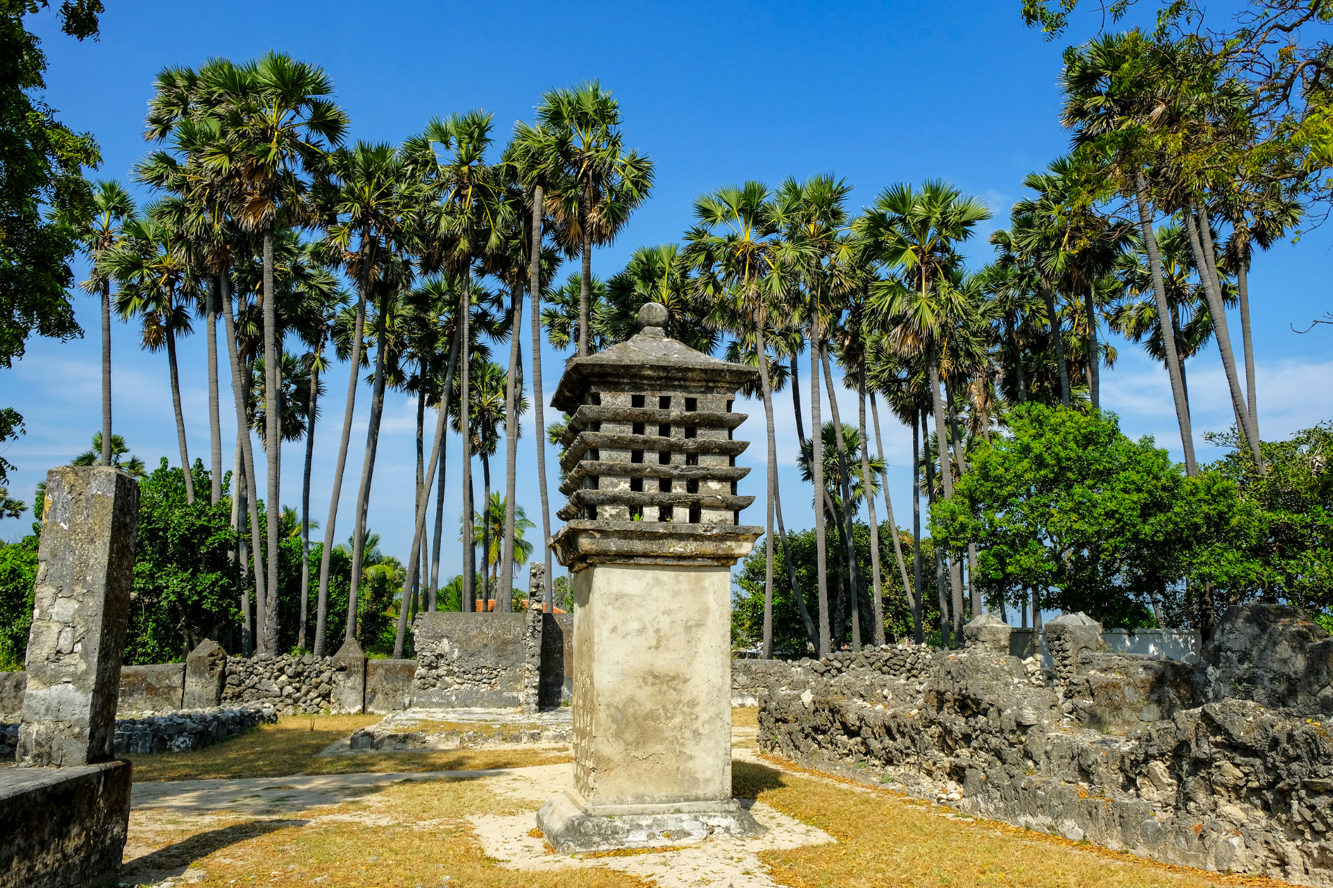 Delft island in Jaffna, Sri Lanka, with its ancient ruins and and palmyra trees.