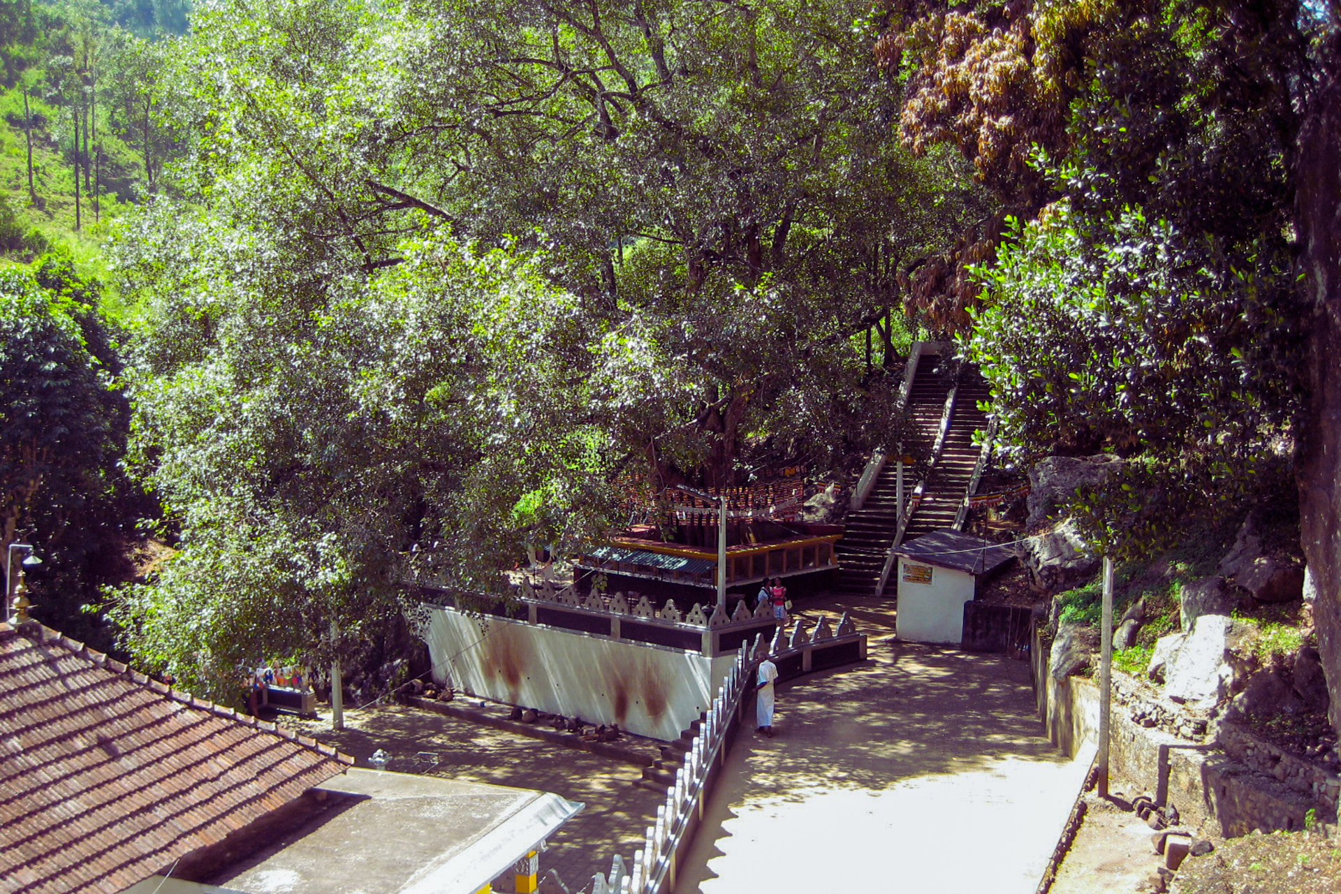 The Bo tree and surroundings at the Dhowa raja maha viharaya