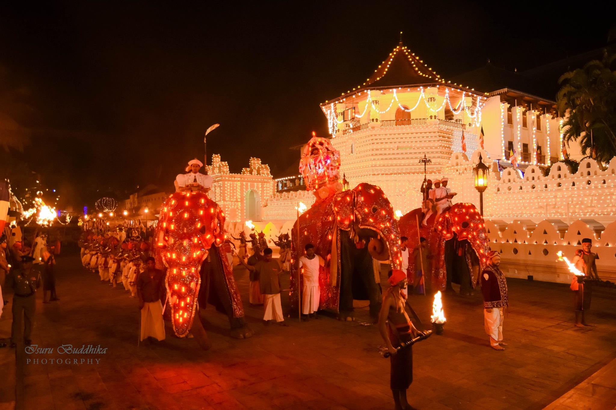 Elephants at the Esala Perahera