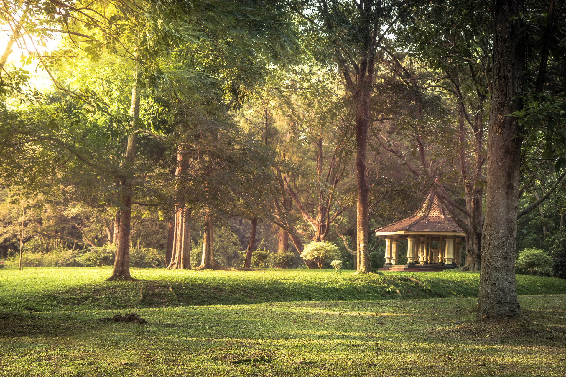 Relaxing greenery in the Peradeniya Royal Botanical Garden in Kandy, Sri Lanka