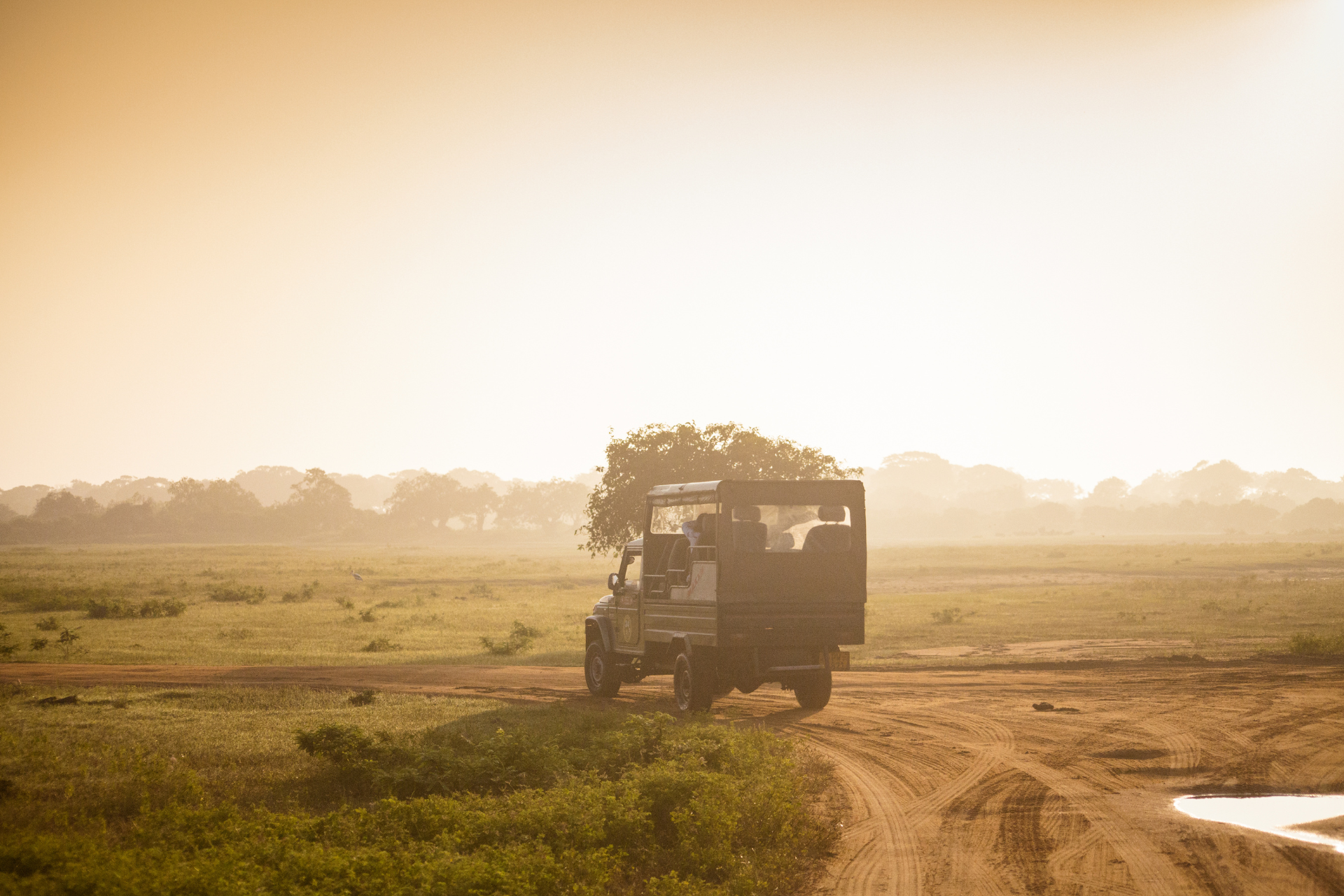 A jeep setting out on a safari at sunrise at Yala National Park, Sri Lanka