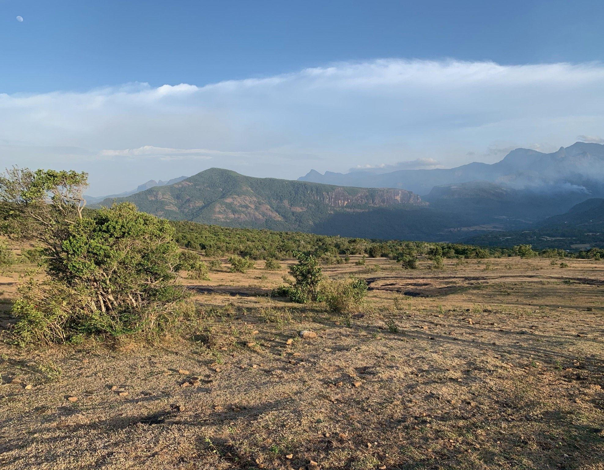 The montane grasslands of Pitawala Pathana, Sri Lanka