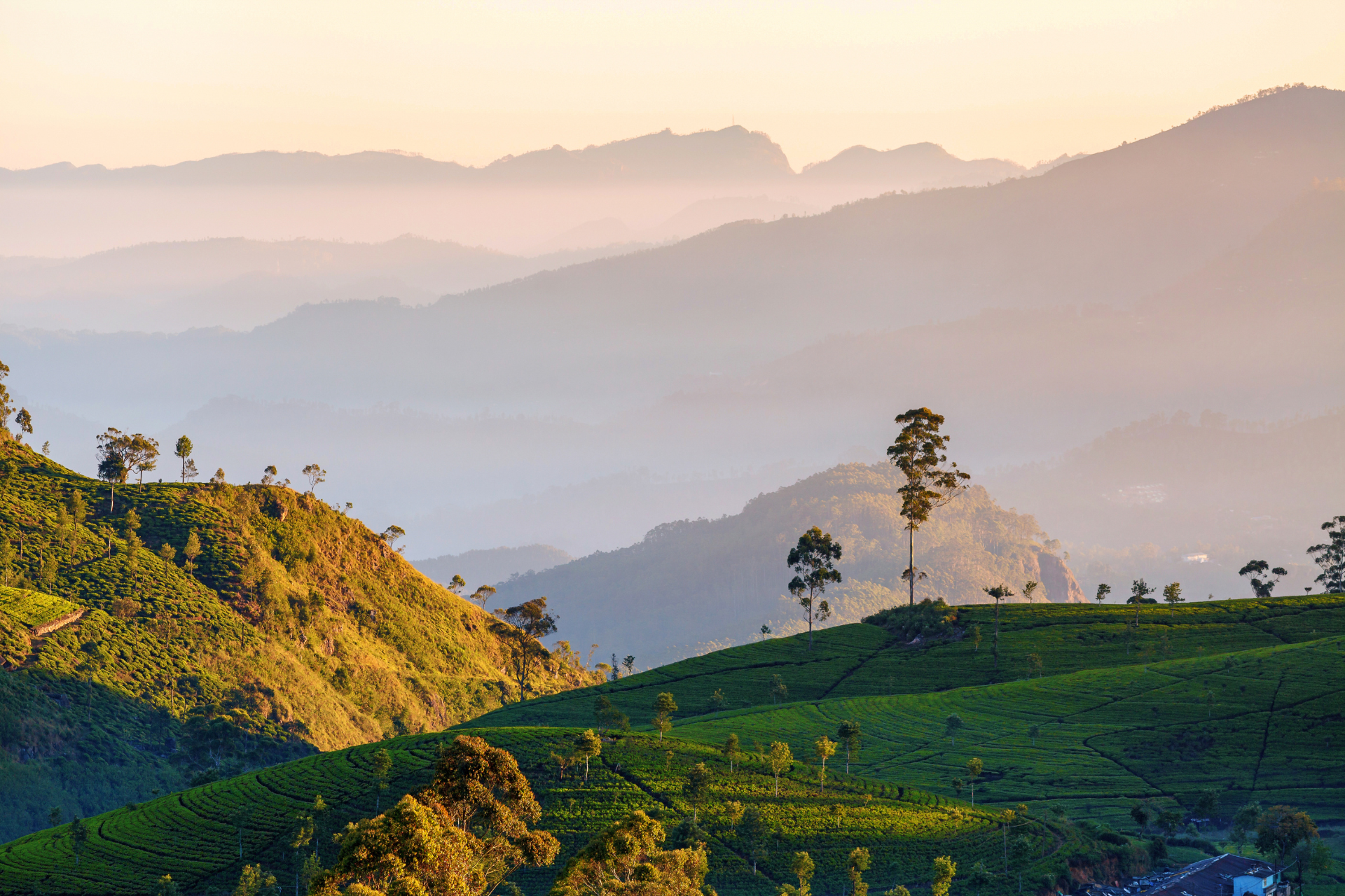 View from Lipton's Seat near Ella Sri Lanka