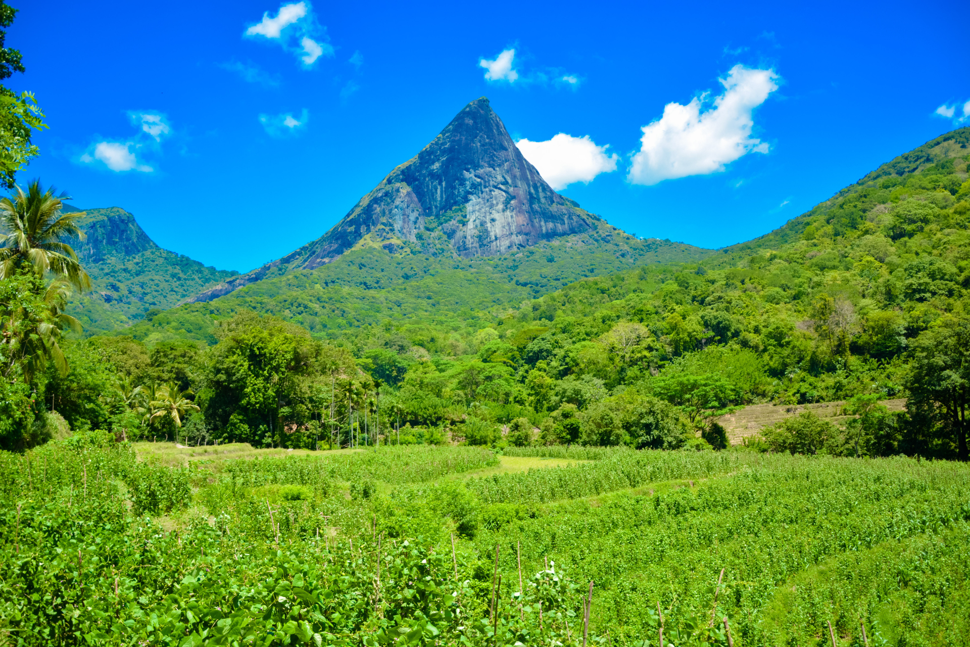 Lakegala Mountain in Meemure, Sri Lanka