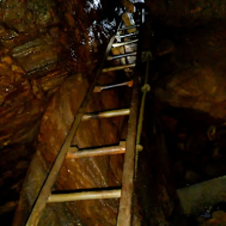 The secondary entrance to Nil Diya Pokuna, with a ladder for climbing down