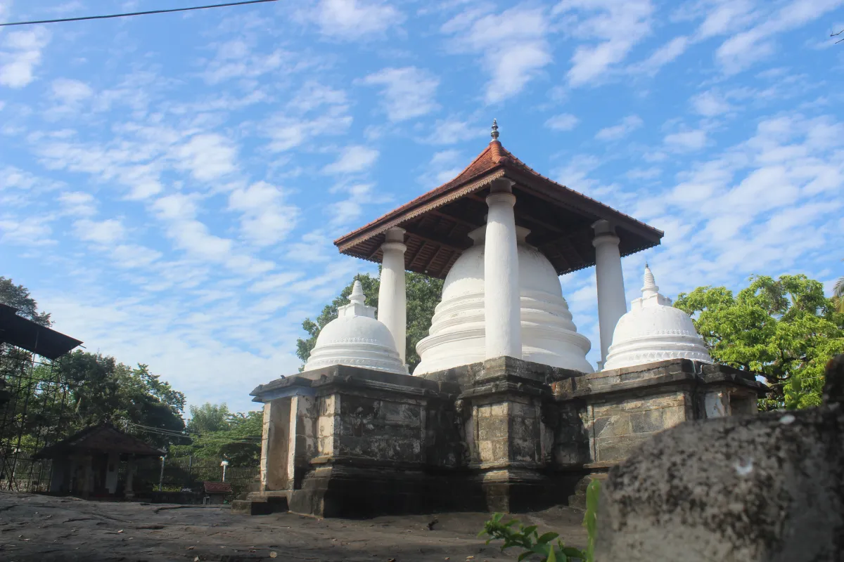 www.wondersofceylon.com